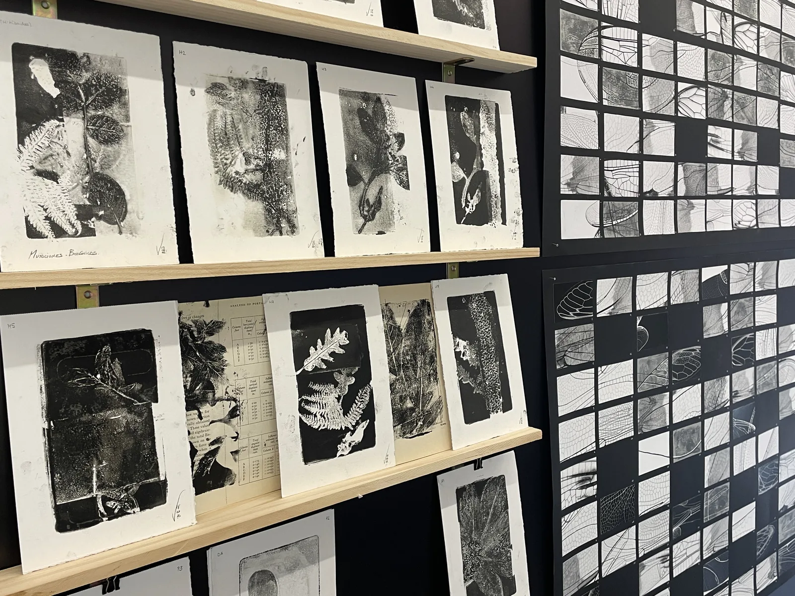 Fotografía 14 de la exposición final Caleidoscópica 2026