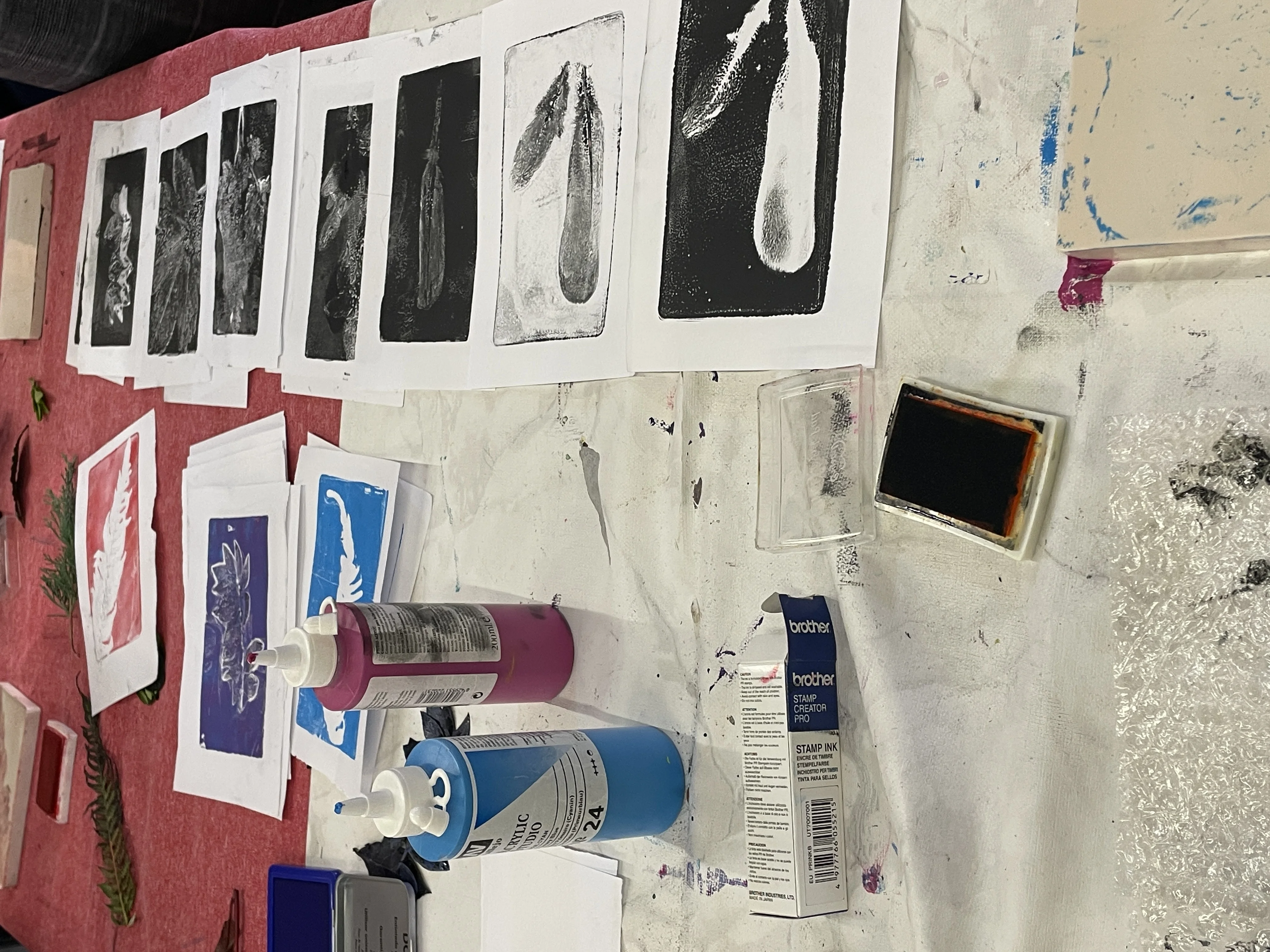 Materiales y tintas utilizados en el Taller de Estampación Botánica