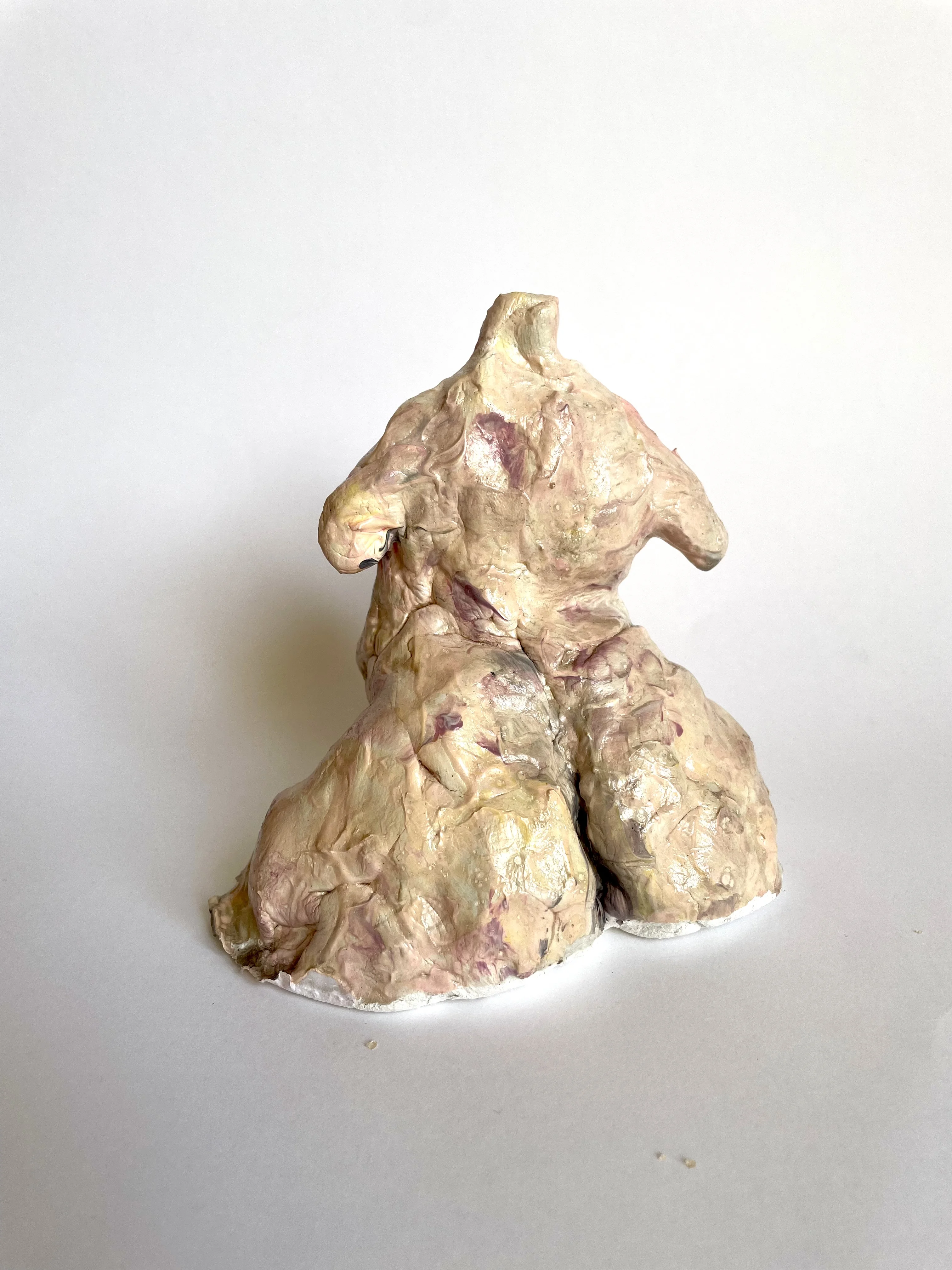 Busto (Vista posterior)