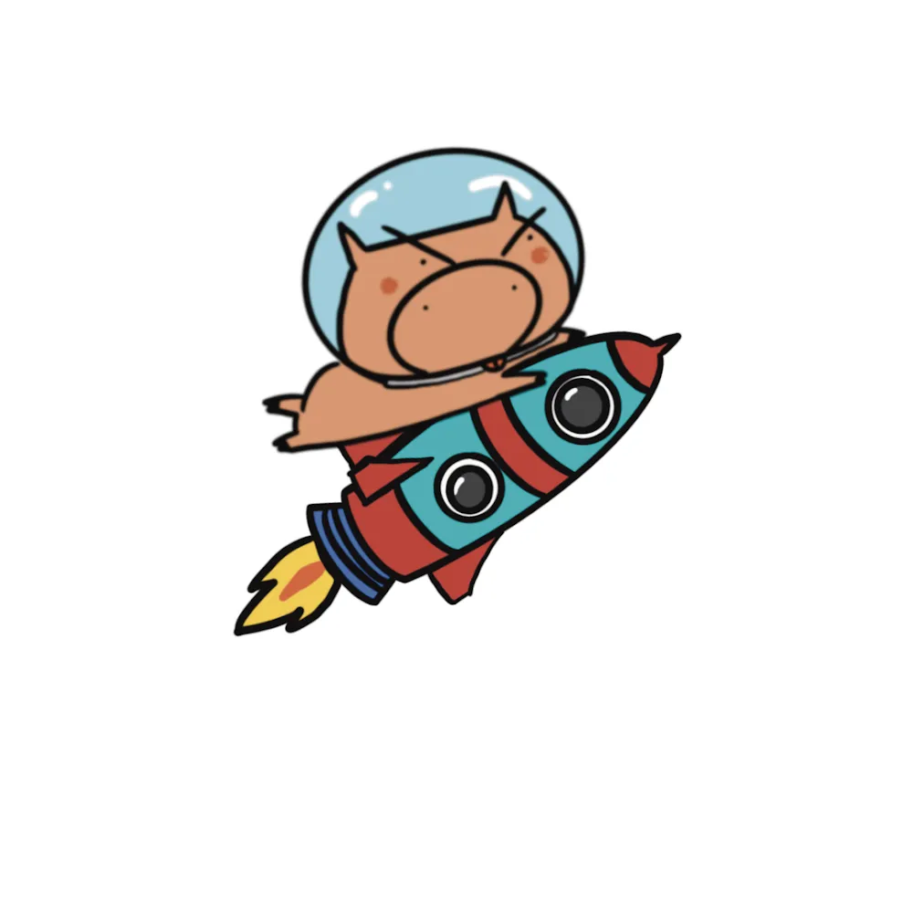 Pig Rocket
